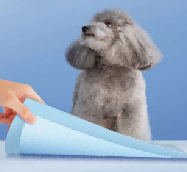 24 X 24 Inch Pet Wee Pee Piddle Pad, OEM/ODM Pee Pad Underpad Dog Pad Pet Training Producten