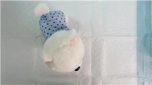 Honden- en puppypads