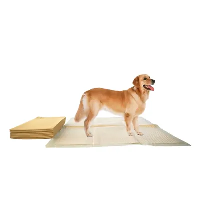 Bamboo Wegwerp Dog Pad gemaakt van FSC -gecertificeerde materialen