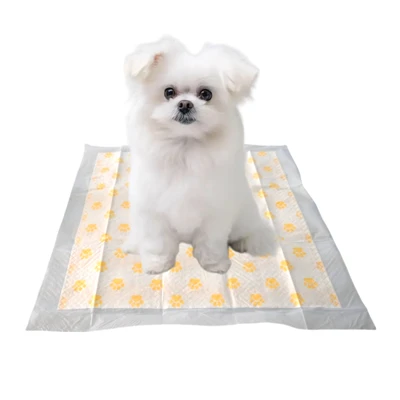 PH-test wegwerptrainingspads voor honden